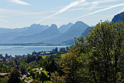 Plants and mountains against sky