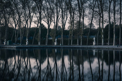 Reflection of bare trees in lake