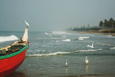 Seagull perching on a boat in sea against sky