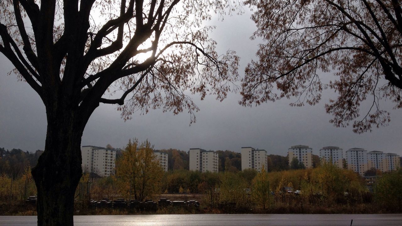 building exterior, architecture, tree, built structure, city, bare tree, branch, skyscraper, cityscape, water, tall - high, office building, urban skyline, sky, river, residential building, modern, tower, growth, building