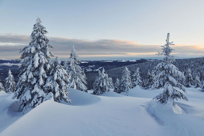 Snow covers lot