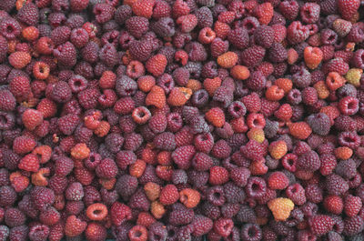 Full frame shot of raspberries