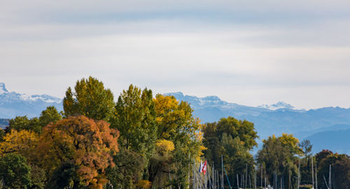 Panoramic view of trees and mountains against sky