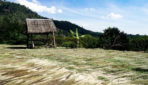 Scenic view of trees against sky
