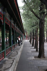 Sidewalk amidst trees and buildings in city