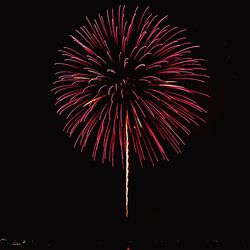 Low angle view of firework display