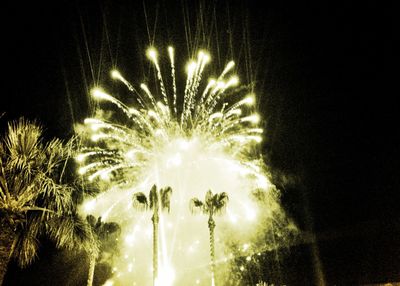 Low angle view of firework display at night