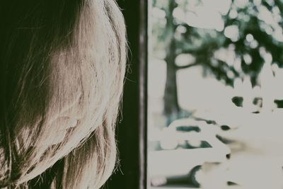 Rear view of a hanging from window