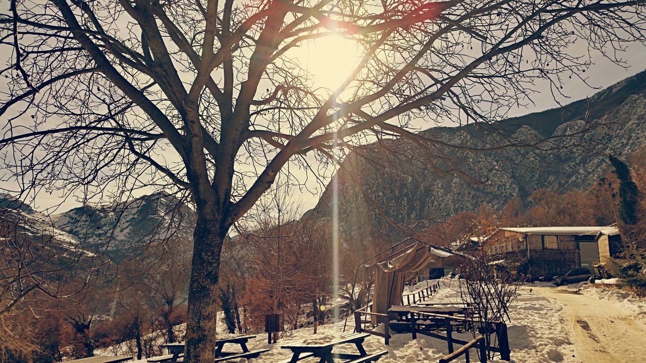 bare tree, tree, branch, built structure, architecture, building exterior, sunlight, winter, snow, nature, bicycle, tranquility, no people, transportation, outdoors, sun, sky, railing, cold temperature, parking