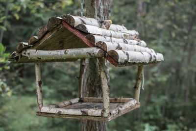 Close-up of bird on wooden post