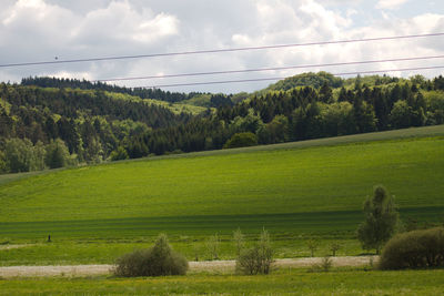 Scenic view of field against sky