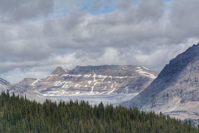 Iceline trail, yoho national park, bc, canada