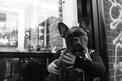 Portrait of dog with woman indoors