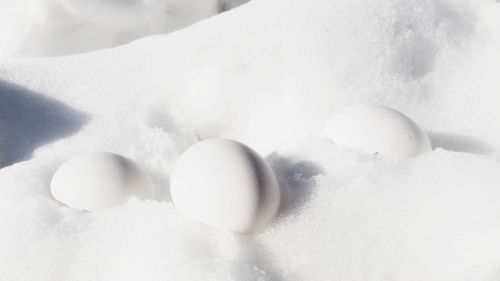 Close-up of snow on white surface