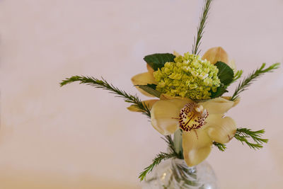 Close-up of vase over white background