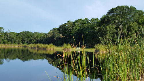 Scenic view of lake by trees against sky