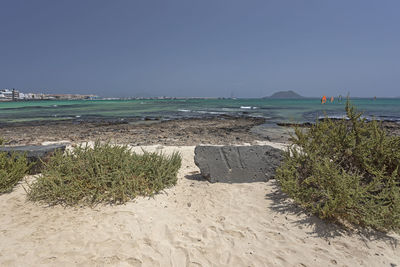 Scenic view of sea against clear sky