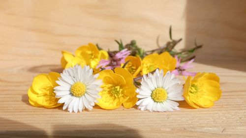 Close-up of yellow flowering plant on table