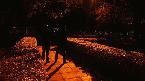 Illuminated footpath at night