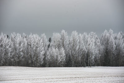 Trees on field against clear sky during winter