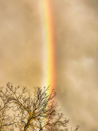 Low angle view of rainbow against sky at sunset