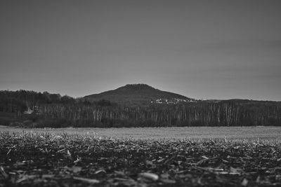 Scenic view of field against clear sky