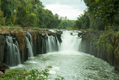 Scenic view of waterfall in forest