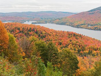 Scenic view of landscape against sky during autumn