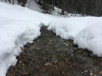 Snow covered land