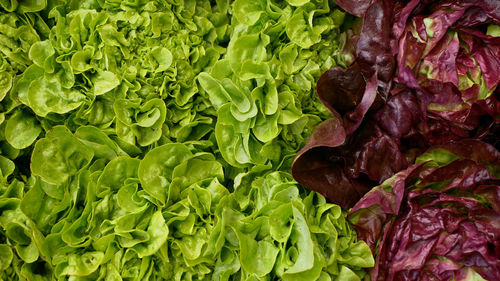 Full frame shot of vegetables