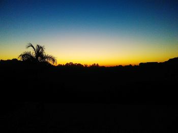 Silhouette trees against sky during sunset