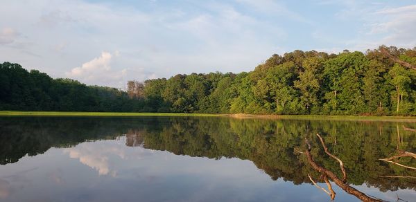 Scenic view of lake by trees against sky