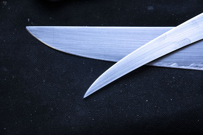 High angle view of feather on paper against black background