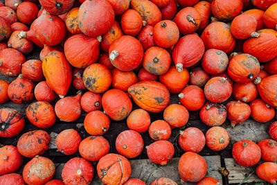 Full frame shot of hokkaido pumpkins