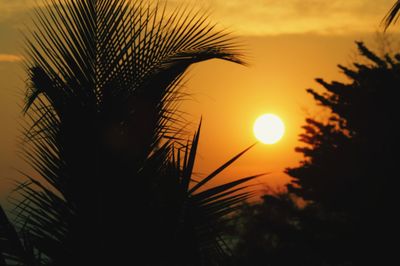 Low angle view of silhouette palm trees against sky during sunset