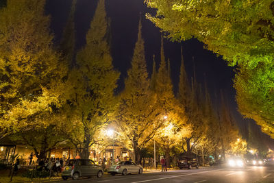 Illuminated road amidst trees at night