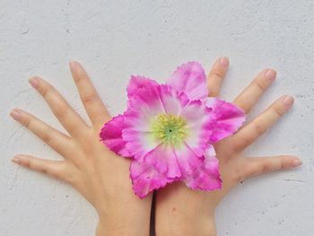 Close-up of hand holding pink flower on sand