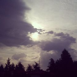 Low angle view of trees against cloudy sky