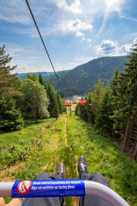 View of road passing through forest