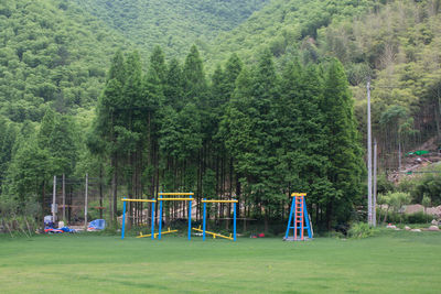 Scenic view of trees in forest