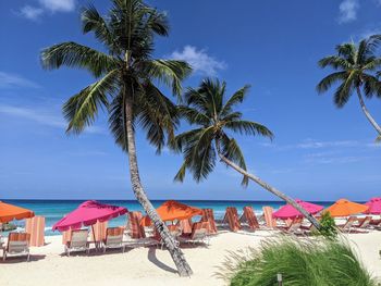 Palm trees on beach against sky