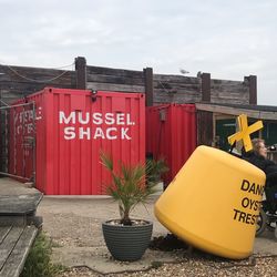 Information sign by potted plant against building