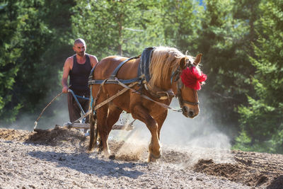 Man riding horse