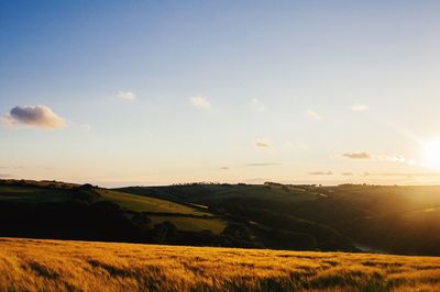 Scenic view of field against sky at sunset