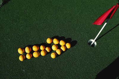 High angle view of arrow symbol made with citrus fruits on golf course