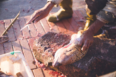 Processing moray eels landed in the fishing port of essaouira, west of marrakech, morocco.