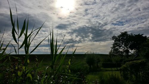 Scenic view of field against cloudy sky