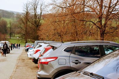 View of cars parked by bare trees