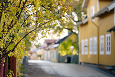 Sigtuna architecture in the autumn