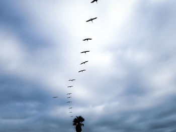 Low angle view of birds flying against cloudy sky